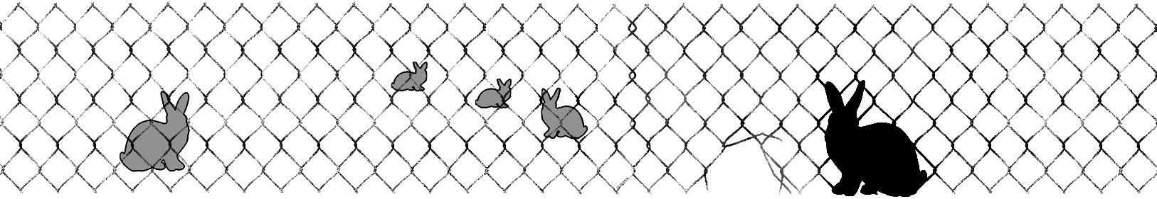 rabbitprooffence_web_08.gif