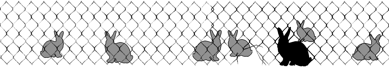 tplimg:blackrabbit:rabbitprooffence_web_13.gif